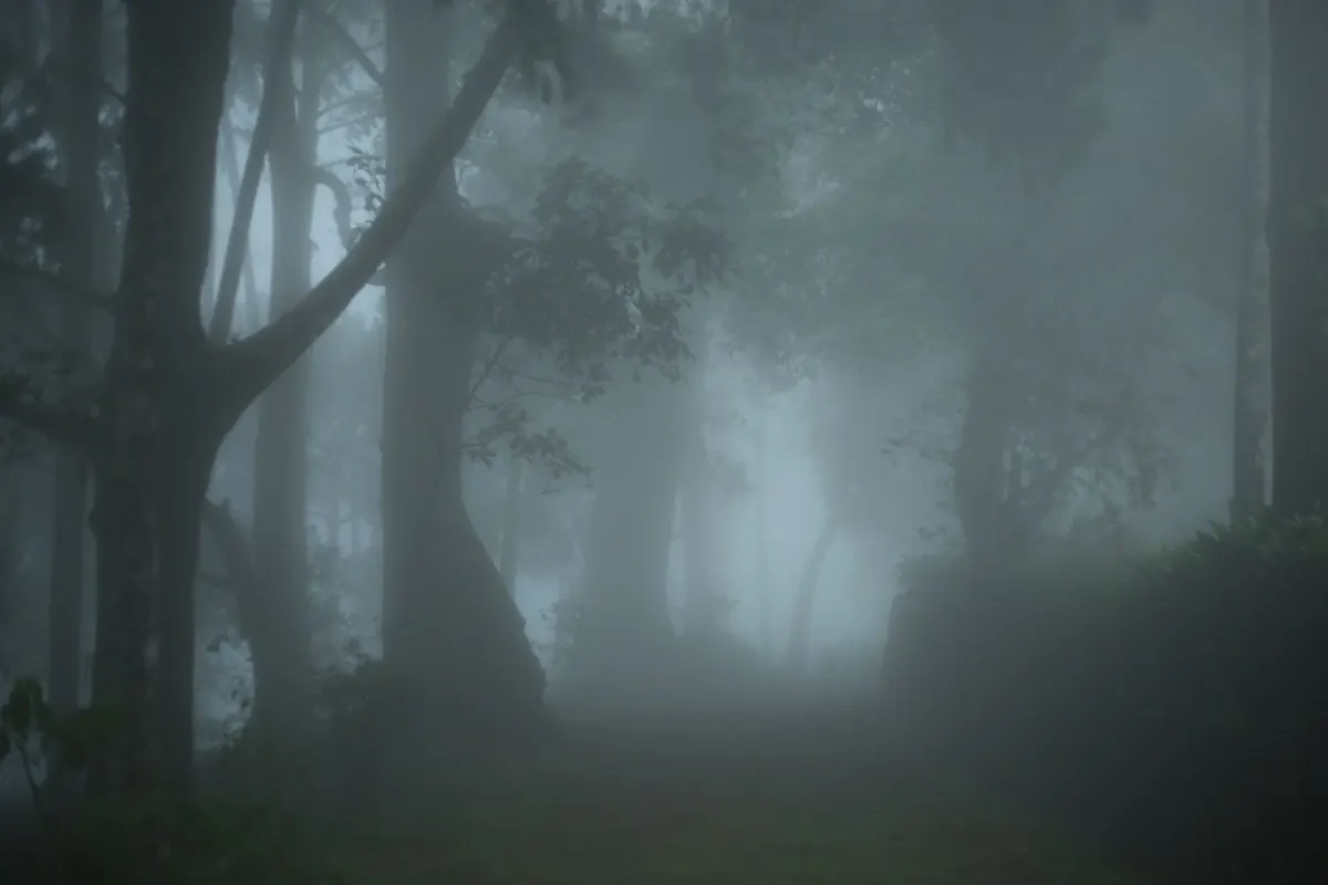 The UK's Most Mysterious Unsolved Disappearances: An Explainer
